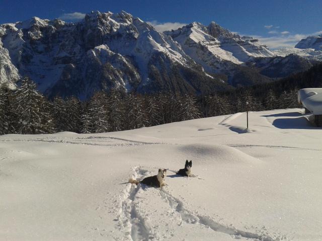 Sole Levante Male Bagian luar foto